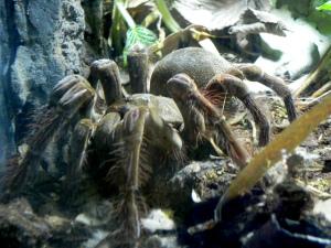 AmericanLW's tweet photo. This is like something out of a horror movie! http://t.co/UeQnWKSO1m http://t.co/xsmiffIpkP