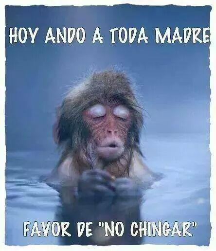 Bugy65's tweet photo. @lunavenus @J23Jacqui 
Jajajaja http://t.co/cxOKo9NE6O
