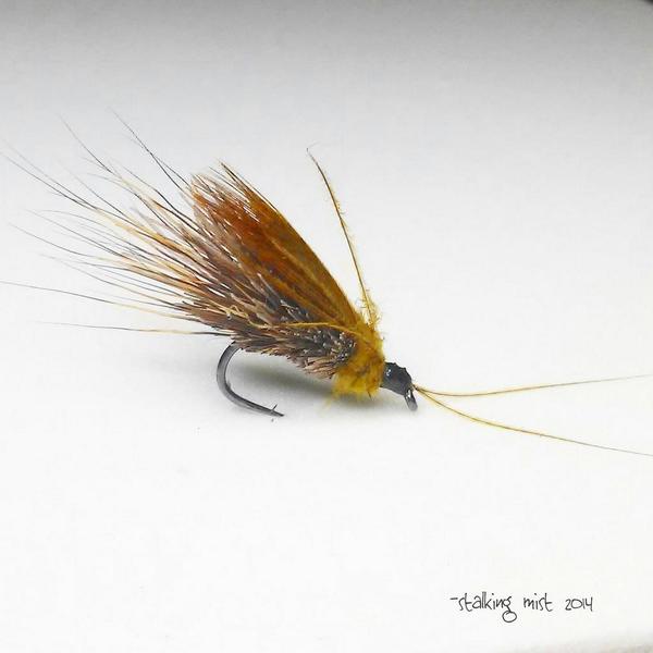 submist's tweet photo. #flytying #flyfishing http://t.co/CQUHO6tlaY