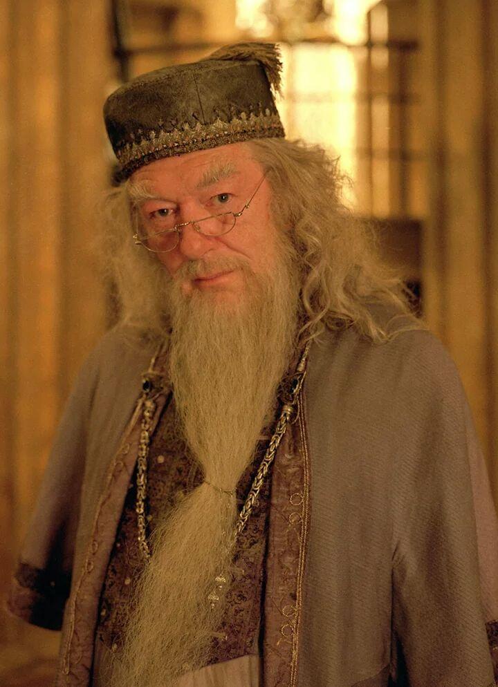 Happy birthday, Michael Gambon! Thanks bringing the magic and wisdom of Bumbledore to the big screen! 