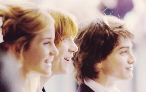 Otter_Patronus's tweet image. So perfect ✨