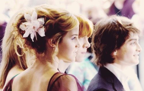 Otter_Patronus's tweet image. So perfect ✨