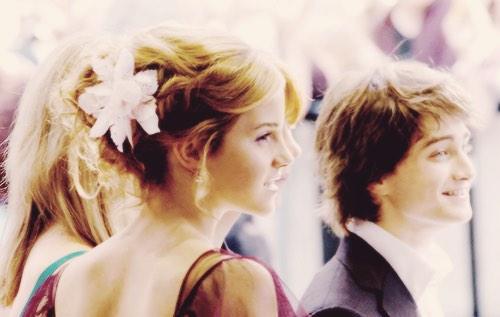 Otter_Patronus's tweet image. So perfect ✨