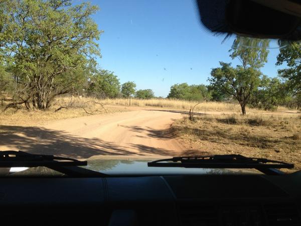 RejaJoy27's tweet photo. Land cruze- #Zebula http://t.co/vmharXzFm2