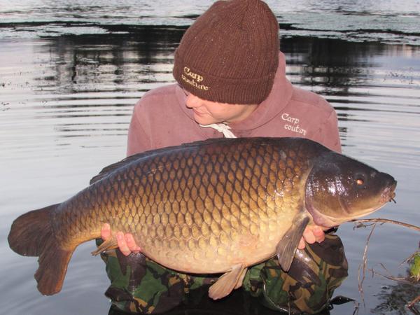 CheesemanRoss's tweet image. 30lb common