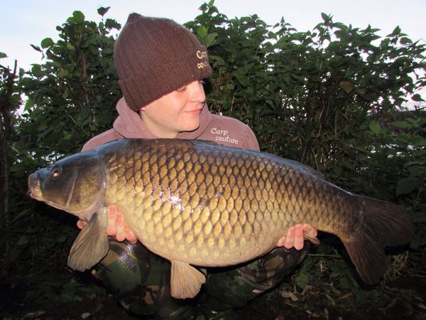 CheesemanRoss's tweet image. 