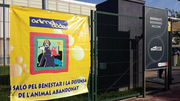 Animaladda's tweet photo. Enfilem les darreres hores d'#Animaladda, no esperis a l'últim moment, encara tenim activitats i #animals en adopció! http://t.co/Rdfh2BYZlI