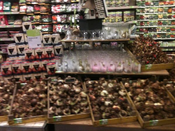 Lekker weer om bollen te planten!