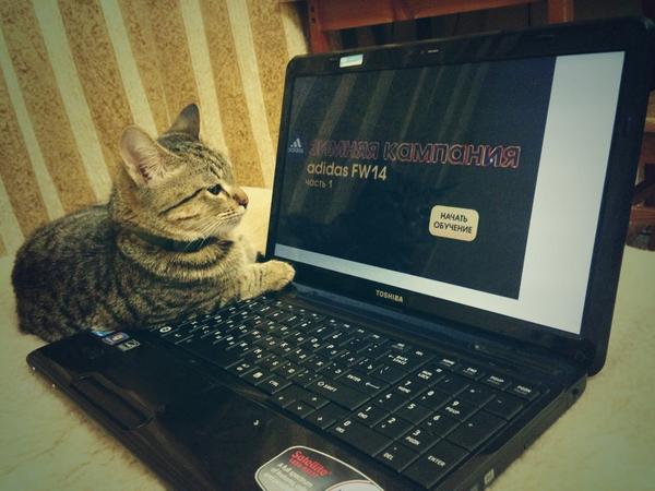 _chayka's tweet photo. Месси проходит курсы ! #messithecat http://t.co/Rpowk2E5Kd