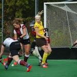 Benjonkdemunnik's tweet photo. @LSC_Alecto lohc dam 1 - Alecto dam 1 (1-1) https://t.co/KTRHiq1a1U http://t.co/ACHQZJYP5r http://t.co/R9ad59IqdF