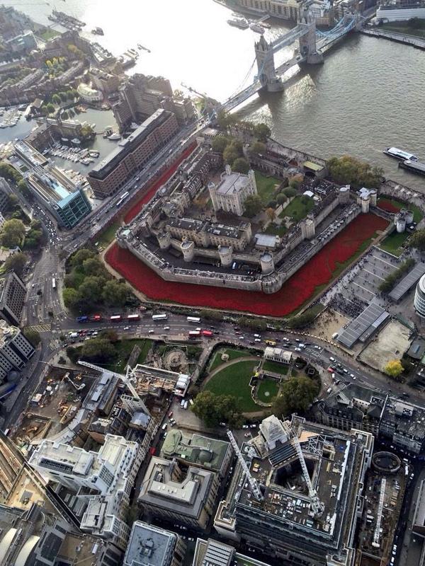 The moat is almost completely transformed into a sea of red. Latest photo of the #TowerPoppies via <a href="/MPSinthesky/">MPS Helicopters</a>