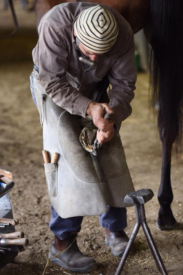 pattisonoutdoor's tweet photo. It's race day at #PATTISONIntl! Getting the horses ready before the big day! #WOIntl http://t.co/khX0p5dn59