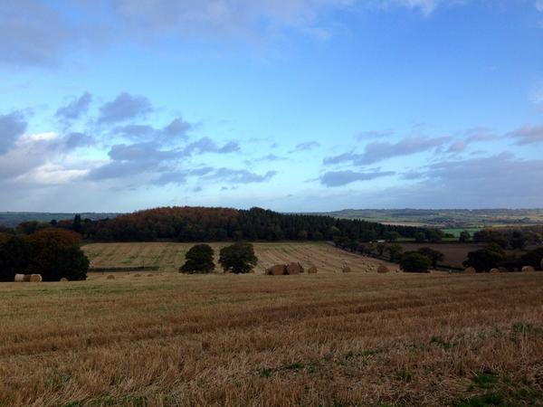 barbaraannhowe's tweet photo. @OtleyCCSocial Missed the ride yesterday so dragged Mr Howe out on a ride to windy Harewood with me today #forget8-0 http://t.co/bmJppsV2cC