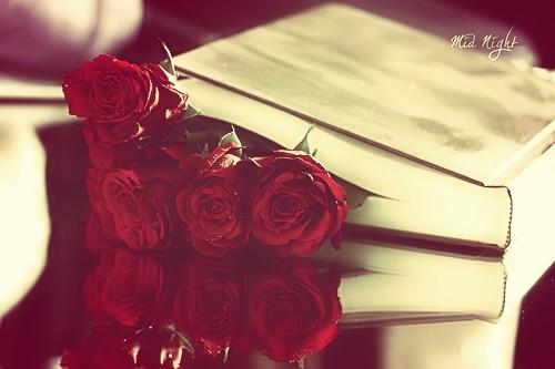 لآا ضآآق صَدري / شكيْت لـ " دفتْر اشعَاره " 

ديوَانه اللي جمعّته دون | مَا يدّري ~