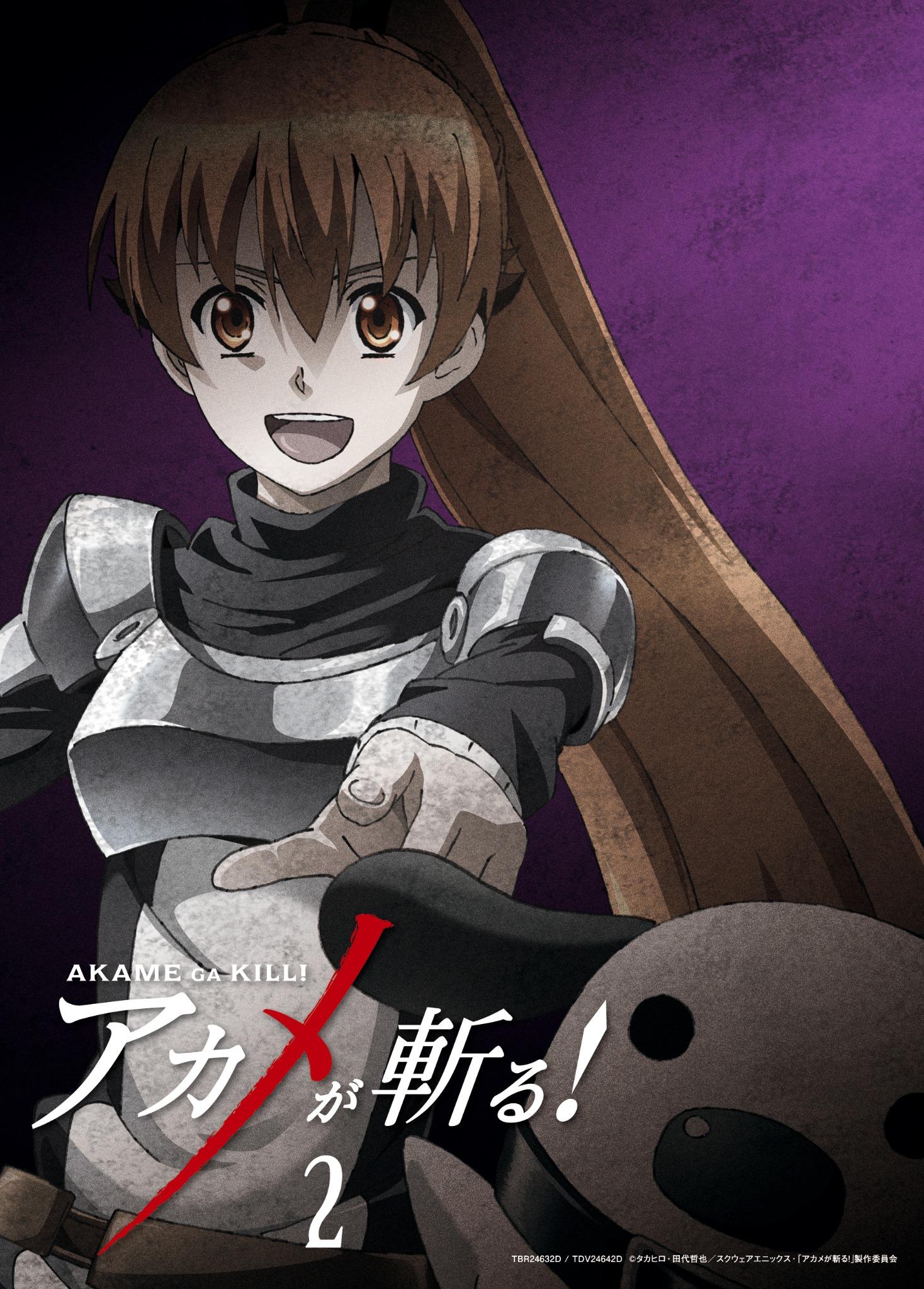Tvアニメ アカメが斬る Twitter Da Blu Ray Dvd Vol 2 先ほどツイートしたvol 2のジャケット情報の続きです スリーブケースは裏面も描き下ろしイラストがございまして Vol 2は 因縁のセリューとなっております タレメ Akame Anime Http T Co