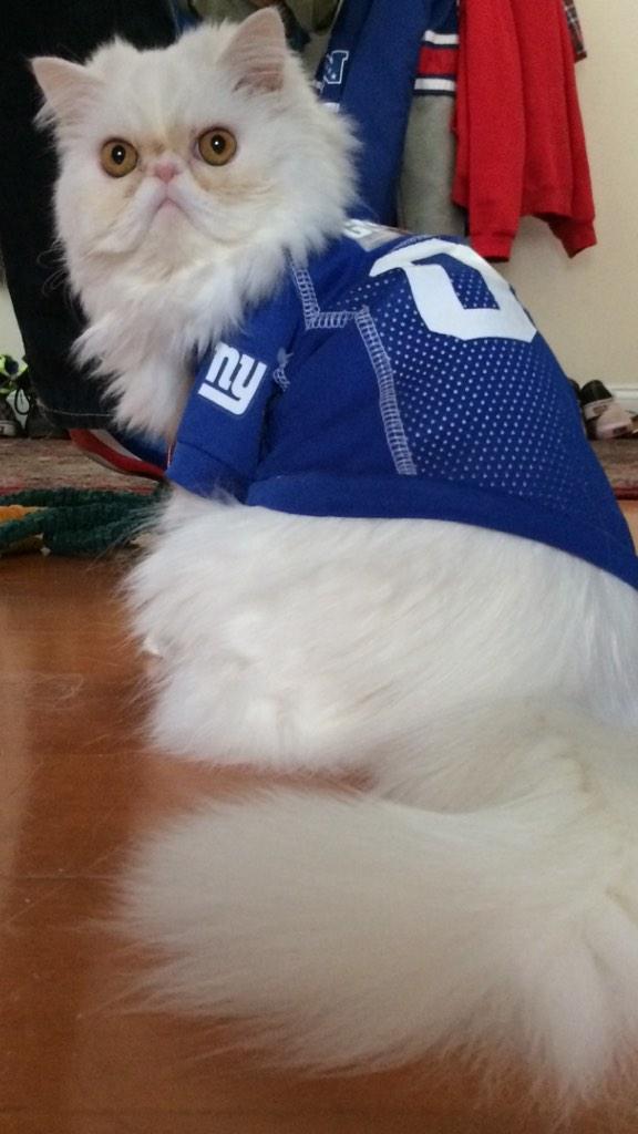 IreneORourke37's tweet photo. Let's go BIG BLUE!! @Giants http://t.co/Im3rtFvwGe