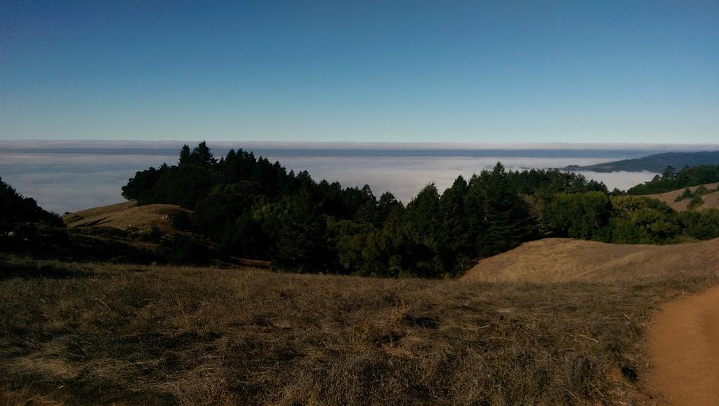 담아간 이미지 고유 주소