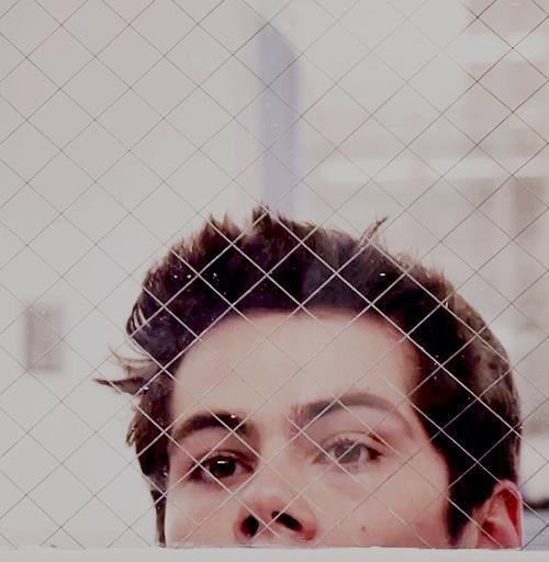 TheObrienCrew's tweet photo. My reaction when i hear someone say Dylan O'Brien http://t.co/dPDVFG3Y8Z