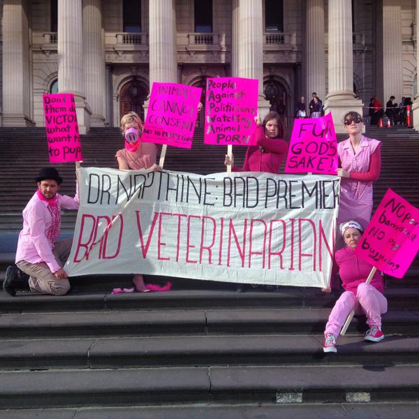PAPWAP's tweet photo. Att: @Vic_Premier Bad Veterinarian . #furgodsake #springst #notoanimalporn http://t.co/vRfDGdCK7o
