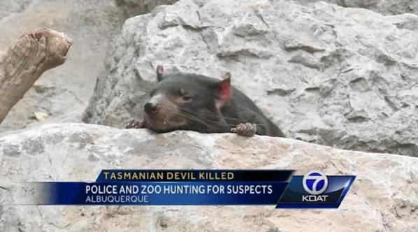 axlrose's tweet image. RIP Jasper