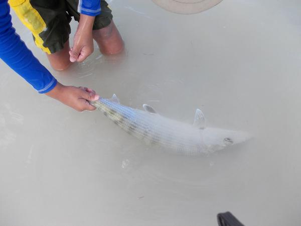 CAPT.MARKKCARTWRIGHT tweet media