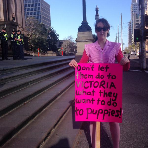 PAPWAP's tweet photo. Animals Cannot Consent. #notoanimalporn #springst #furgodsake http://t.co/Ml7zEQ0Imw