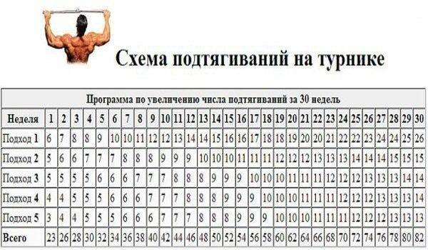 dynamics of visual motion