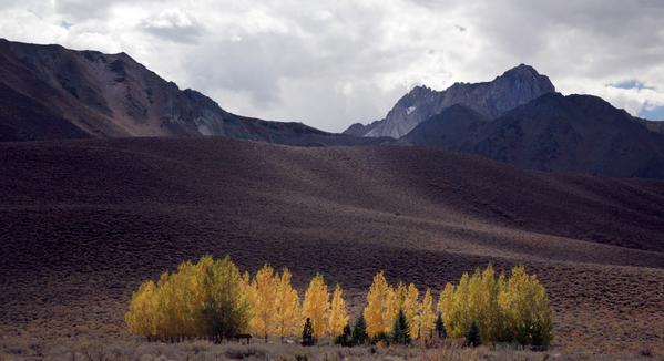 andytempletonph's tweet photo. A snapshot from my bike ride in the Eastern Sierras. http://t.co/EgfCcPOtrG
