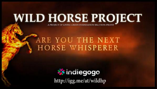 WildHProject tweet picture