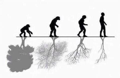 andrewfunkspain's tweet photo. How are we evolving as an ecosystem? http://t.co/1Hy3viw1ns