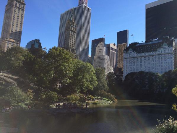 amiam's tweet photo. Perfect Central Park day http://t.co/avazsGVJD6