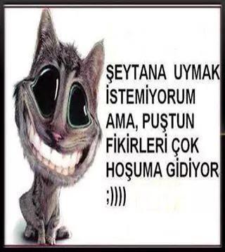 Önder Gülbahar (@hayataluyaguzel) on Twitter photo 