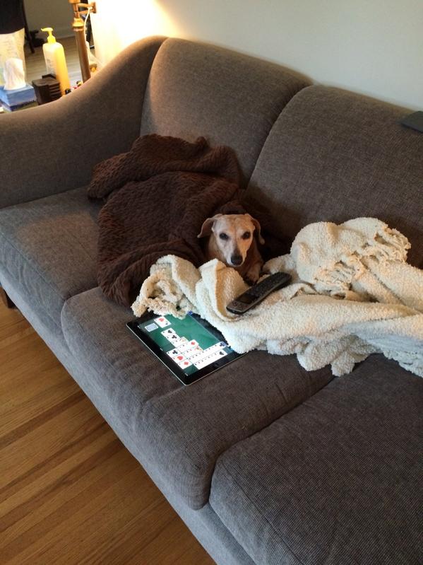 MarkSlytn's tweet photo. Tough day, Time for Solitaire and football! http://t.co/fm1ipJ0fP3