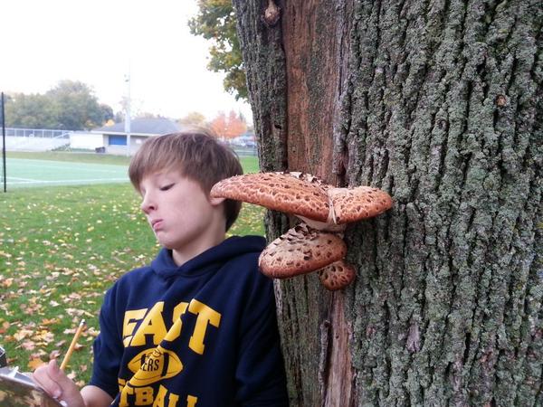 mrmacmathsci's tweet image. Just classifying living things by Mehney field! #msscience #mssciencechat #traditionofexcellence #egrms #egrps