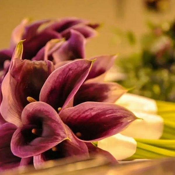 CrescentHall's tweet image. 