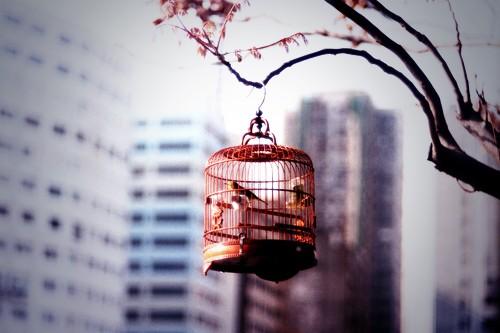 خَذْنِي غَرْق .. ! 
خَذْنِي مِنْ الحَزْن / الأرَقْ ! 
وُإصَرخْ بَمُوجْك فَـ المْدَىَ 
عَلْيَل وُبْـ عَلاْجَه شَرقْ *