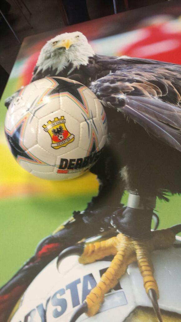 harryvermeegen's tweet photo. Bekendmaking winnaar van de wedstrijdbal #ijsselderby maandag 19.00 uur!! @Voetbalpings #gaepec #goaheadeagles http://t.co/yRwcMozMRE