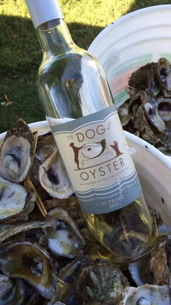LynnhavenOyster's tweet photo. #SOMMinar @Festevents #TownPoint @pevanshylton @ChathamVineyard @VeritasWinery @ourdogblue @Barboursville #VaWine http://t.co/dZyykcRAbg