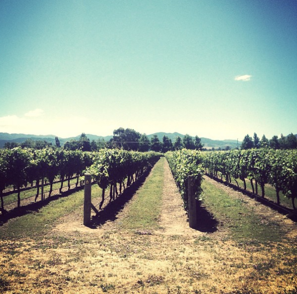 wineapps tweet picture