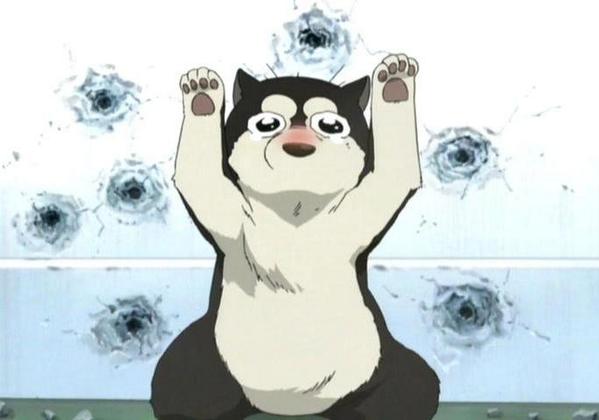AmestrisHawk's tweet photo. "You have a very strict mommy now, buddy!" http://t.co/FwIPOzKpcs