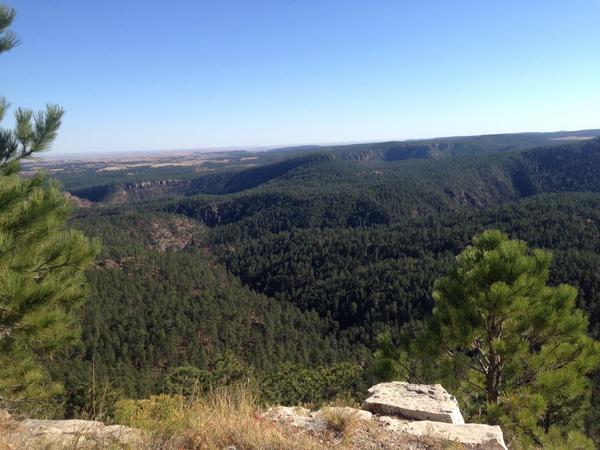 beccaceremuga's tweet photo. THE BLACK HILLS😍 http://t.co/Nnllx6sRW8
