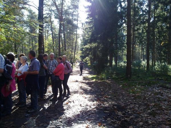 Holterpad's tweet photo. Nog een paar foto's van de wandeling van 19 oktober 2014 door de Holterberg in #Holten. http://t.co/RUnirlXCJe