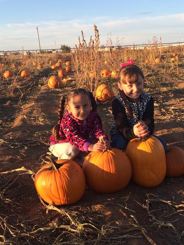 DynetteV's tweet photo. #McCallsPumpkinPatch http://t.co/A0kT9HLDWr