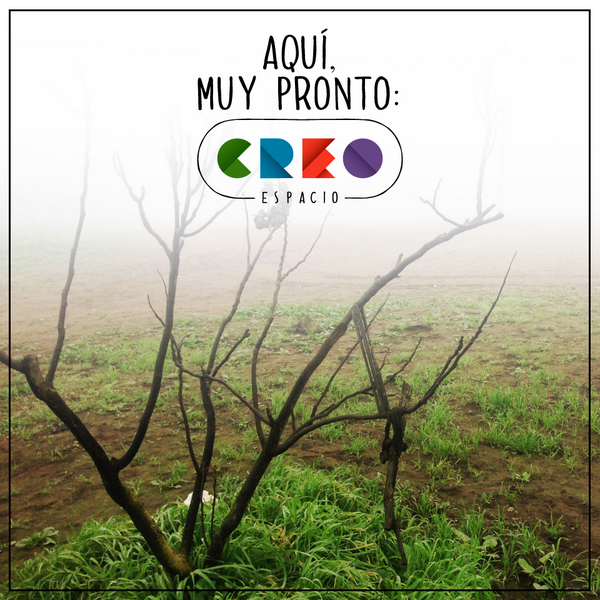 ¡Ya tenemos una comunidad fortalecida, empoderada y lista para poner manos a la obra! #EspacioCREO