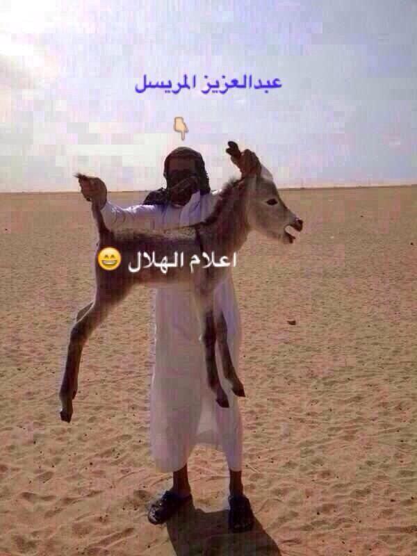 kasf121's tweet photo. http://t.co/wDKI2iuzvQ