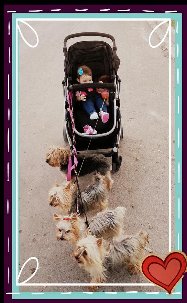 ana_sofia_pg's tweet photo. De paseo ! @chino_perez72  #lovejimena http://t.co/AzFMiHDP3n