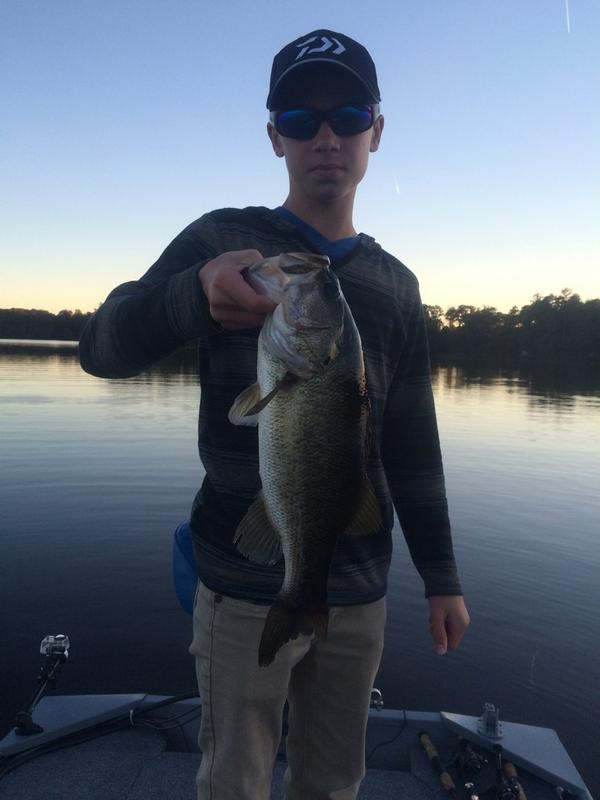 SwampJumper's tweet photo. Good afternoon with a jig! @HunterRuggiero @BASS_nation @fishnstyle #jigs #postfront http://t.co/YLZBCHfrLg