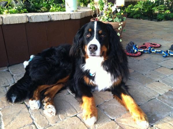 RedwineLine's tweet image. 