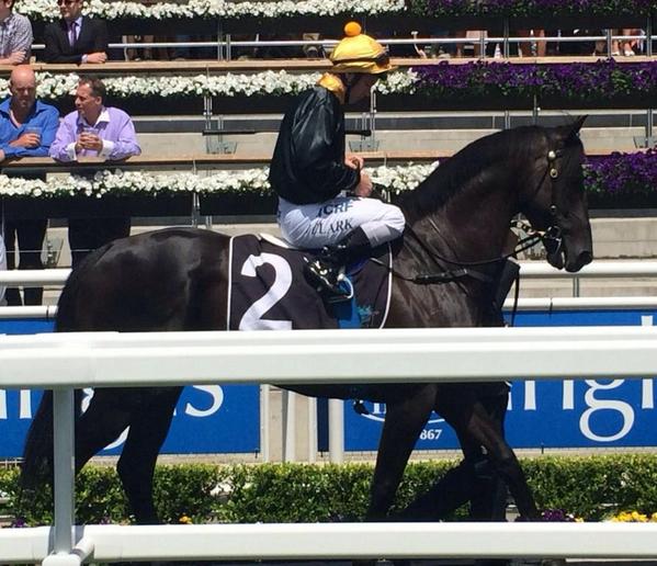bruceaslade's tweet photo. THANK YOU on behalf of EKnowledge's owners to Steve O'Halloran &amp; his tireless TML team #12caps/breakyrolls #3amstarts http://t.co/BjOQHNBosi
