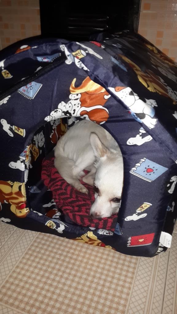 mariuccia siciliano (@aioig) on Twitter photo 